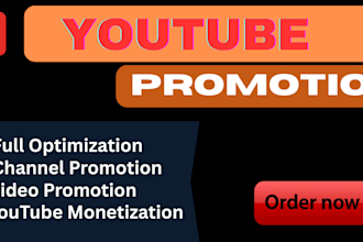 do organic youtube video channel promotion for monetization