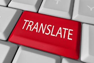provide professional english to chinese and chinese to english translation