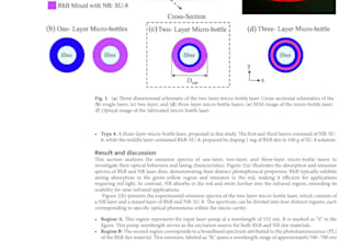 teach physics, mathematics, photonics, and quantum