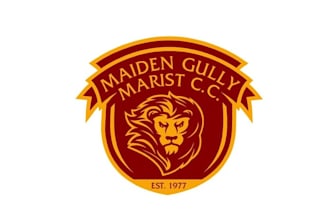 design existing sports cricket club team logo