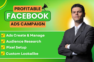 setup facebook and instagram ads for leads, sales, pixel and capi tracking