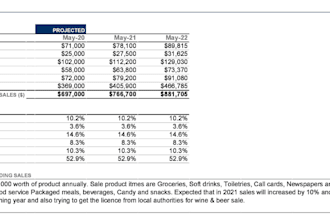 design and format the financial model
