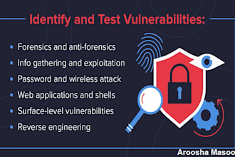 pentest your system and generate professional report with standards