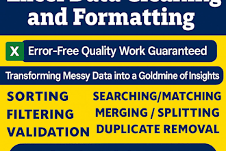 clean, format, and organize your excel spreadsheets professionally