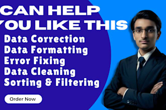 do excel data correction and formatting services