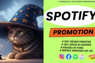 do spotify music promotion with spotify ads