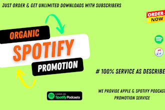do professional spotify music promotion through ads campaign