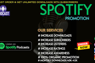 do spotify music promotion through ads campaign
