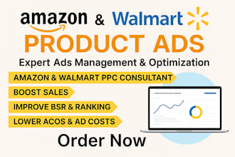 set up, manage, and optimize walmart amazon PPC ads campaigns