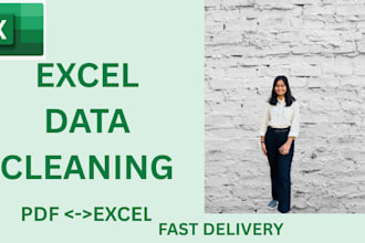 fix messy excel data in 24 hours ,  formatting and cleanup in less amount