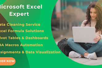 be your microsoft excel expert for pivot, formulas, dashboards
