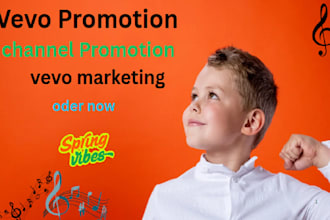 do best channel promotion expert and vevo marketing