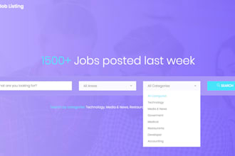 develop a professional job application laravel or filament