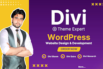 build a responsive divi wordpress website as a wordpress developer, divi builder