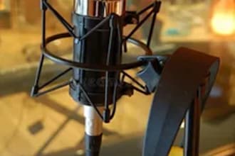 be your female songwriting, celtic, dubstep, flamenco, salsa, punk to your music