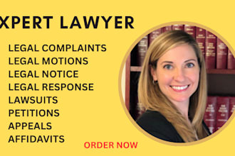 draft agreements, essays, legal research, motions and appeals briefs
