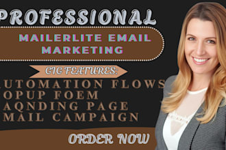 setup or manage shopify klaviyo email marketing, mailchimp, mailerlite expert