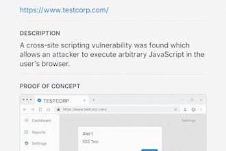 identify and report security flaws in your web application using vapt