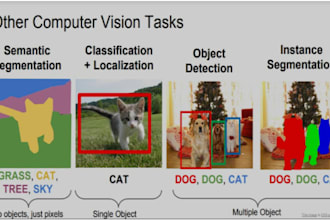 do image classification ,object detection and model building with best accuracy