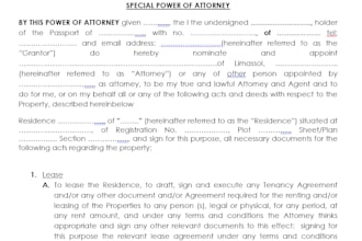 review contracts, assess risks, and ensure legal compliance for your business