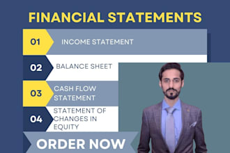 do professional financial statement balance sheet pl cash flow
