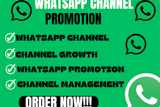 grow whatsapp followers, gain 50k member whatsapp channel, whatsapp bulk message