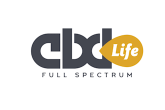 design an professional corporate, business logo for you