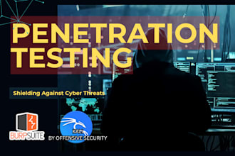provide penetration testing with professional report