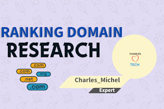 research SEO friendly domain names for your ecommerce store, shopify domain name
