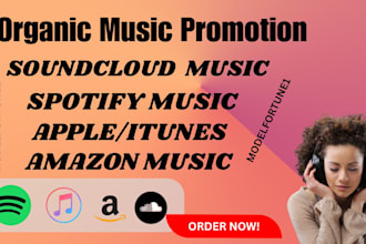 do organic spotify music promotion soundcloud music itunes apple amazon music