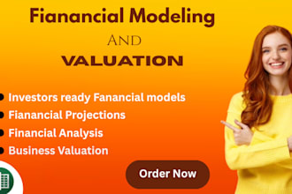 build a professional excel financial model, forecast, budget, and projections
