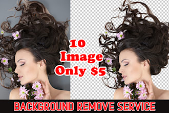 professionally remove or change image background in high resolution