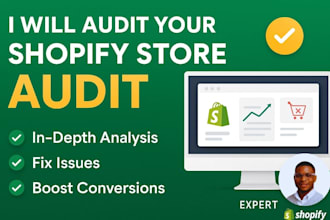 audit your shopify store to fix issues and increase sales