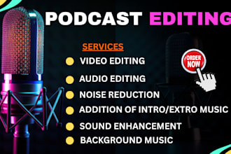do professional podcast audio video mixing editing production producer editor