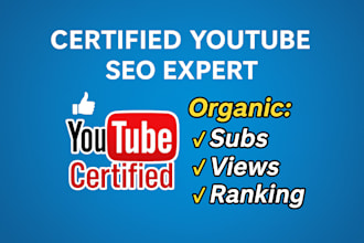 get professional youtube SEO to increase your video views, subscribers, and rank