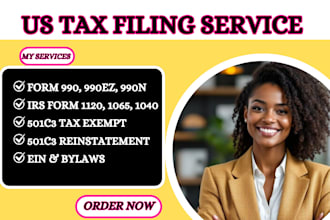 prepare and efile US non profit tax forms 990n 990ez 990