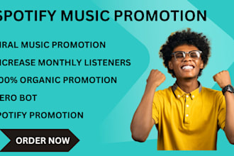 superfast organic USA spotify music promotion, spotify album promotion