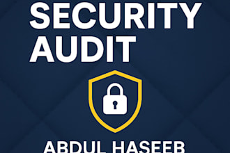 do a basic web security audit and vulnerability scan