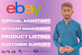 expert ebay virtual assistant for ebay listing optimization, account managment