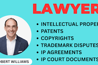 be intellectual property, trademark, patent and copyright infringement lawyer
