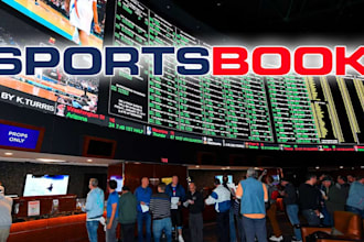 build football site, cricket website, livescore website, sportsbook website