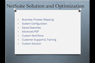 optimize your netsuite using my skills, map your business processes