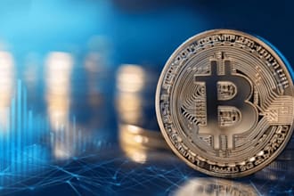 build daily withdrawal profitable bitcoin bot app on your smartphone, pc