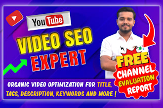 do best youtube video seo expert optimization and channel growth