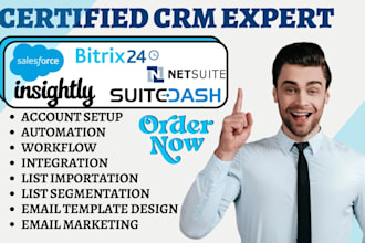 setup netsuite crm insightly automation bitrix24 suitedash workflow saleforce va