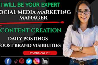 be your social media marketing manager and content creator