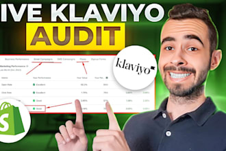 setup high converting VIP klaviyo segmentation for high conversion sale in 3day