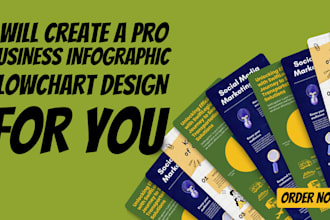 do a  professional business infographic design flowchart for you