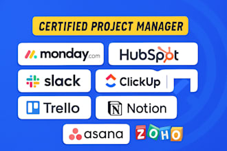 setup project management using monday CRM, trello, asana gantt chart ms project