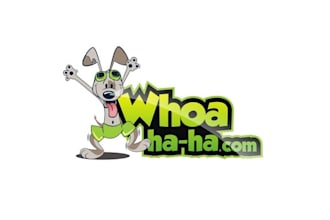 design modern cartoon game or e sports logo